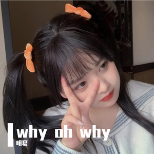 小丑竟是我自己