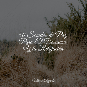 Hojas Revoloteando Hacia Abajo