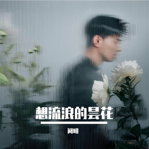 想流浪的昙花