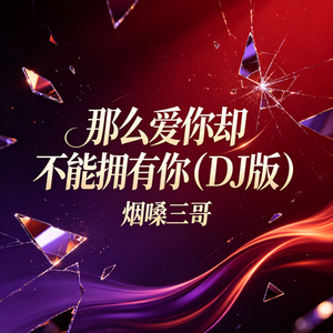 那么爱你却不能拥有你(DJ版)