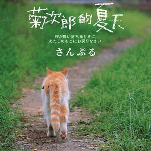 又不会有人代替你（原创Demo）