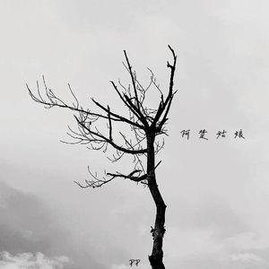 阿楚姑娘 · 2024