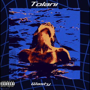 Tolani