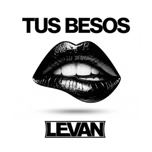 TUS BESOS