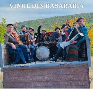 Vinul din Basarabia (feat. Vasile Bogdan) (Radio Edit)