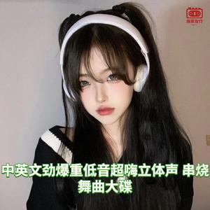 DJ国飞-中英文劲爆重低音超嗨立体声 串烧舞曲大碟（DJ国飞 remix）