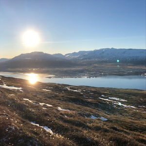 Eftirsjá