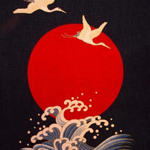 贪无忧（翻自 银鲛）