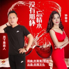 没有那杯忘情水 (dj晓朋版)