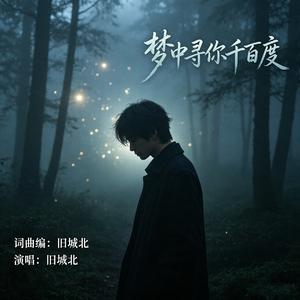 梦中寻你千百度