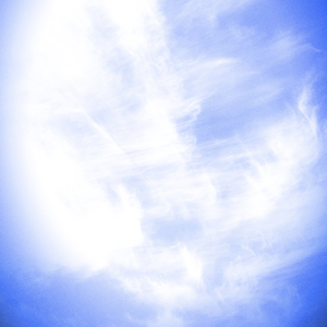 별의 피가 흐르는 아이들