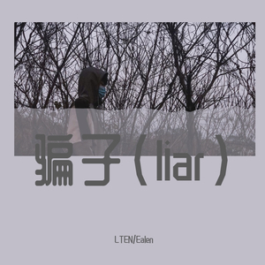 骗子（liar）