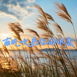 南风吹来你的讯息