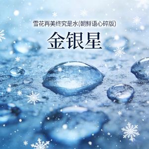 雪花再美终究是水(朝鲜语心碎版)
