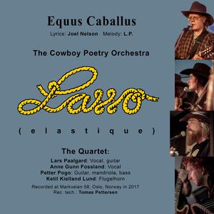 Equus Caballus