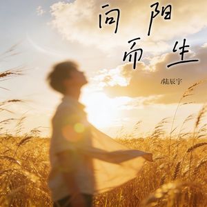 向阳而生