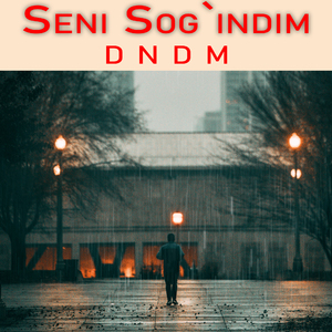 Seni Sog'indim