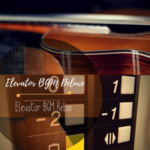 Momentous Instrumental Music for Smelly Elevators