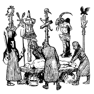 Black Wing over the Sand