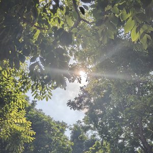 迈向未来（Demo版）