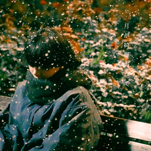 月が綺麗だって