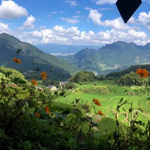 下辈子不做痴情人（翻自 舒岩）