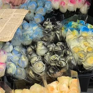 当时只道是寻常