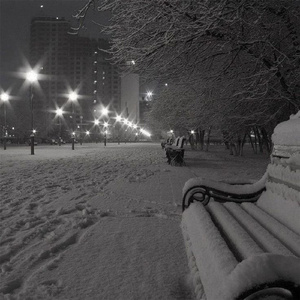 Winter Disorder