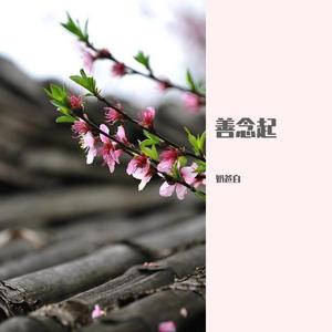善念起