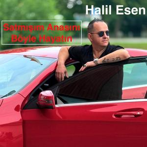 Satmışım Anasını Böyle Hayatın