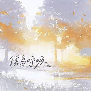 候鸟呼吸 (伴奏)