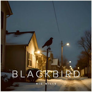 Blackbird (Acoustic Guitar Version)