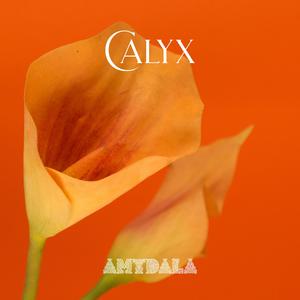 Calyx