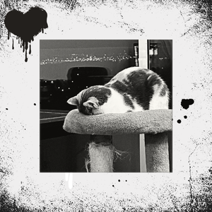 [FREE]"I'm Drunk and Confused" JBEE Type Beat