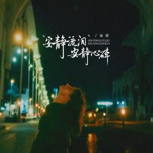 安静流泪安静心碎 (孤独面对)