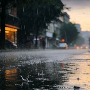 鬓边雨_3