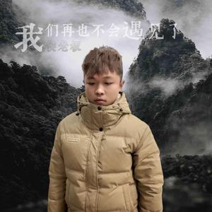 我们再也不会遇见了