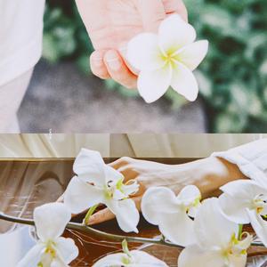 Sweet 环绕（翻自 龚俊/张哲瀚）