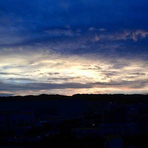 バトルロワイヤル