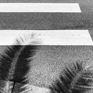 至此流年各天涯