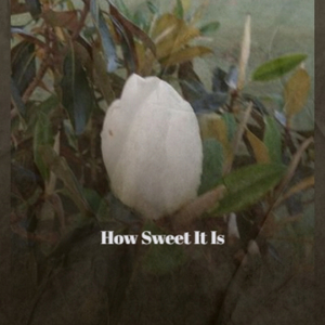 Rollin' And Tumblin'