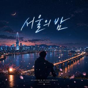 서울의 밤