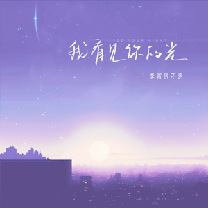 我看见你的光