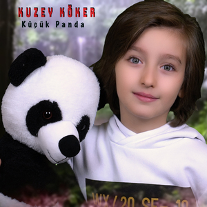 Küçük Panda