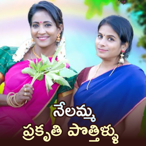 Nelamma Prakruthi Potthillu