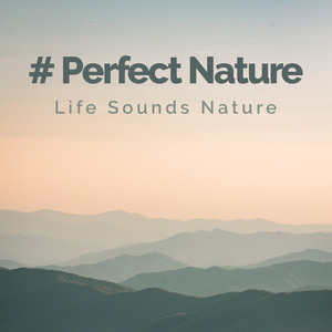 Walk Around The Garden