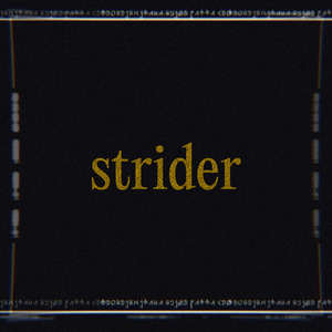 Strider