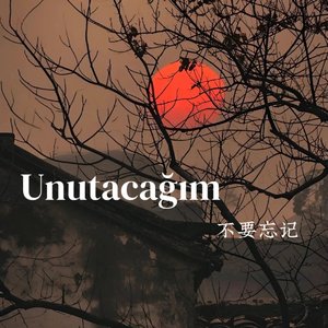 Unutacağım (不要忘记).wav