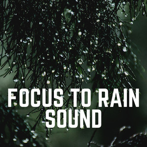 The Sound of the Rain