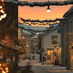 落在生命里的光